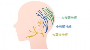 illust_occipital-neuralgia