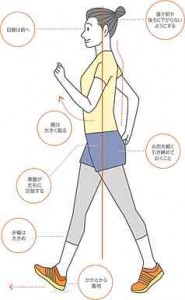 preview (2)