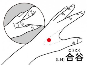 {合谷⓵}