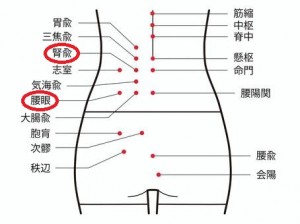 腰のツボ