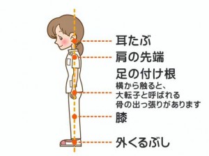 正しい姿勢①