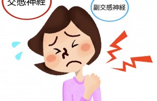 自律神経と肩こり