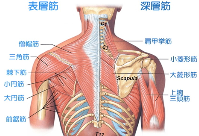 o0833056814701236498