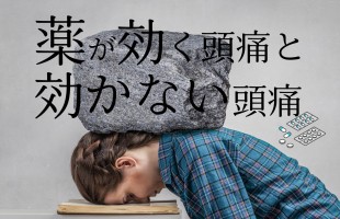 line_oa_chat_260511_152659